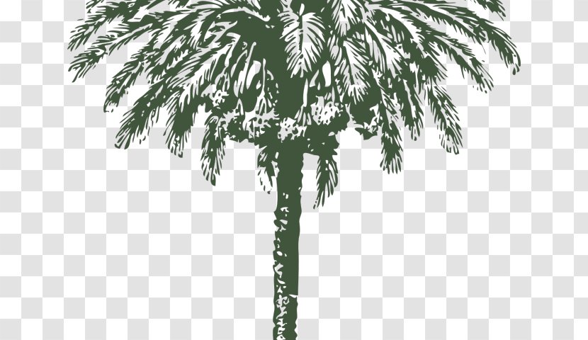 Palm Trees Vector Graphics Date Clip Art Image - Flowering Plant - Nut Vulture Transparent PNG