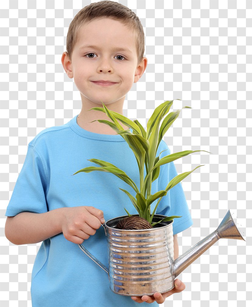 Flowerpot Stock Photography - Child Transparent PNG