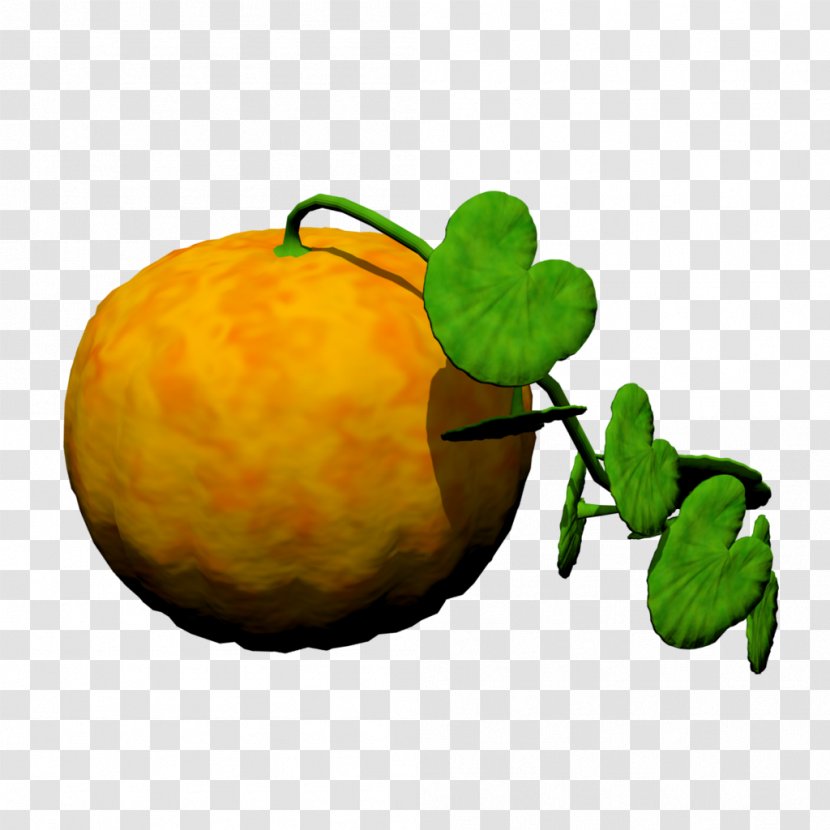 Gourd Winter Squash Cucurbita Natural Foods Citron - Apple - Pumpkin Leaf Transparent PNG