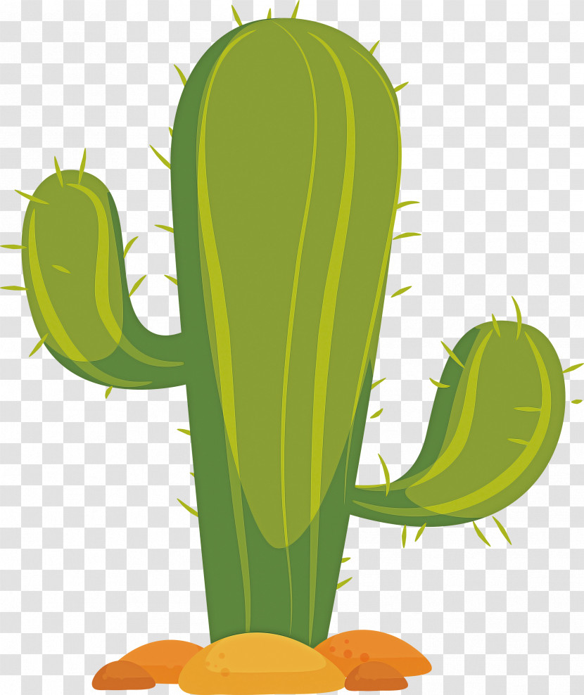 Cactus Transparent PNG