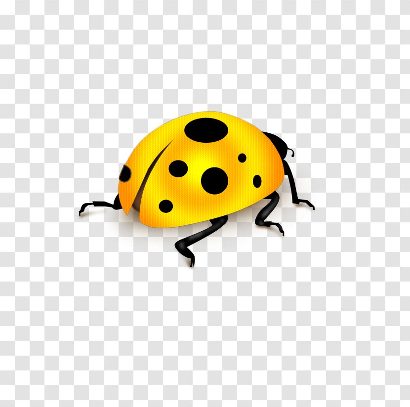 Download Computer File - Apple - Ladybug Transparent PNG