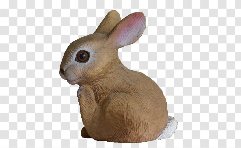 Domestic Rabbit Hare Whiskers Snout New England Cottontail - Rabits And Hares Transparent PNG