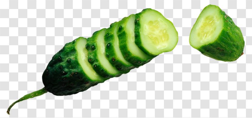Cucumber Vegetable Cultivar Half Sour Pickles Salting - Sliced ​​cucumber Transparent PNG