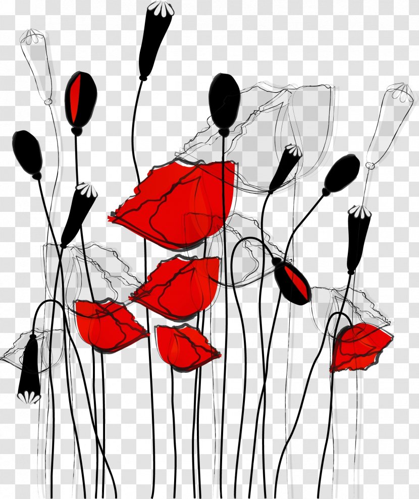 Red Coquelicot Flower Corn Poppy Plant - Family Transparent PNG