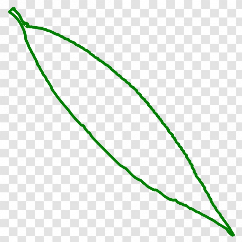 Leaf Line Point Angle Clip Art - Plant Stem - Willow Transparent PNG