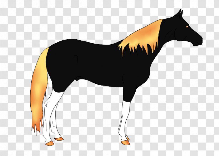 Mustang Foal Stallion Mare Colt - Mane Transparent PNG
