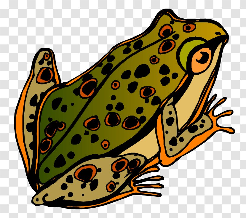 Toad Blog Clip Art - Black And White - Frog Transparent PNG