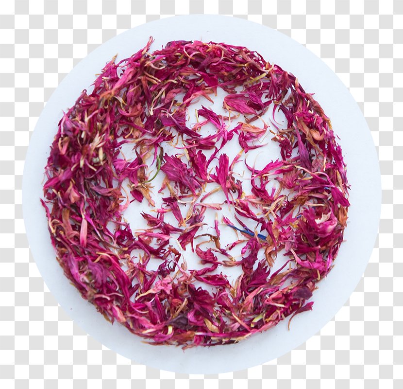 Flower Petal Tea Magenta Leaf - 6 Transparent PNG