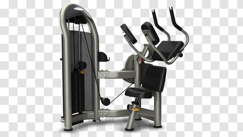 Crunch Exercise Machine Abdomen Weight Training Fitness Centre - Abdominal External Oblique Muscle - Equipment Transparent PNG