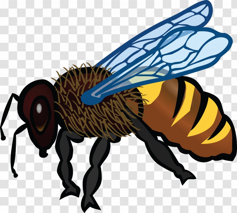 Honey Bee Coloring Book Clip Art - Insect - Gees Transparent PNG