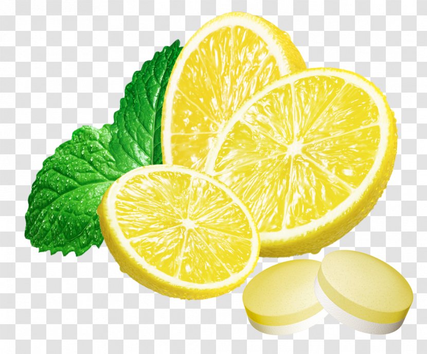 Lemon Drop Limonana Mint - Mints Transparent PNG