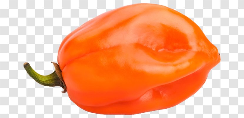 Habanero Chili Pepper Bell Stock Photography Capsicum - Scoville Transparent PNG