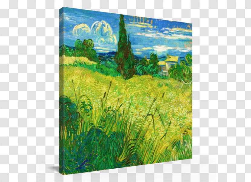 Watercolor Painting Green Wheat Field With Cypress Fields - Van Gogh Transparent PNG