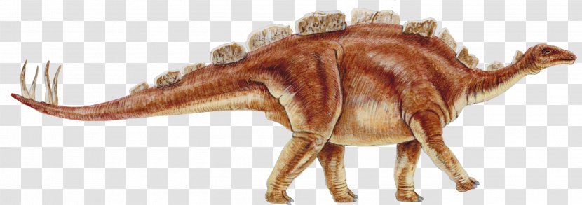 Tyrannosaurus Dinosaur Stegosaurus Reptile - Cretaceous Transparent PNG