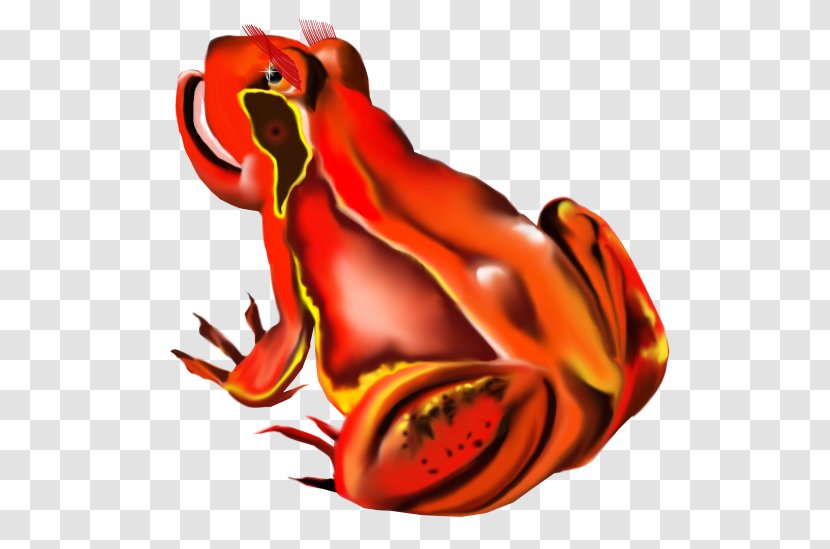 Tree Frog Clip Art - Red Transparent PNG