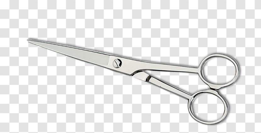 Coiffeur Bea Scissors Cosmetologist Hair-cutting Shears Transparent PNG
