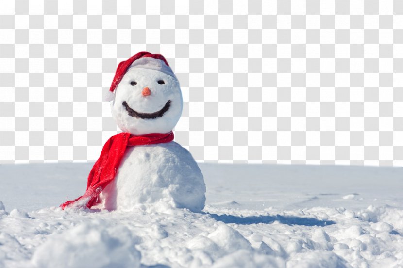 Snowman - Playing In The Snow - Freezing Transparent PNG