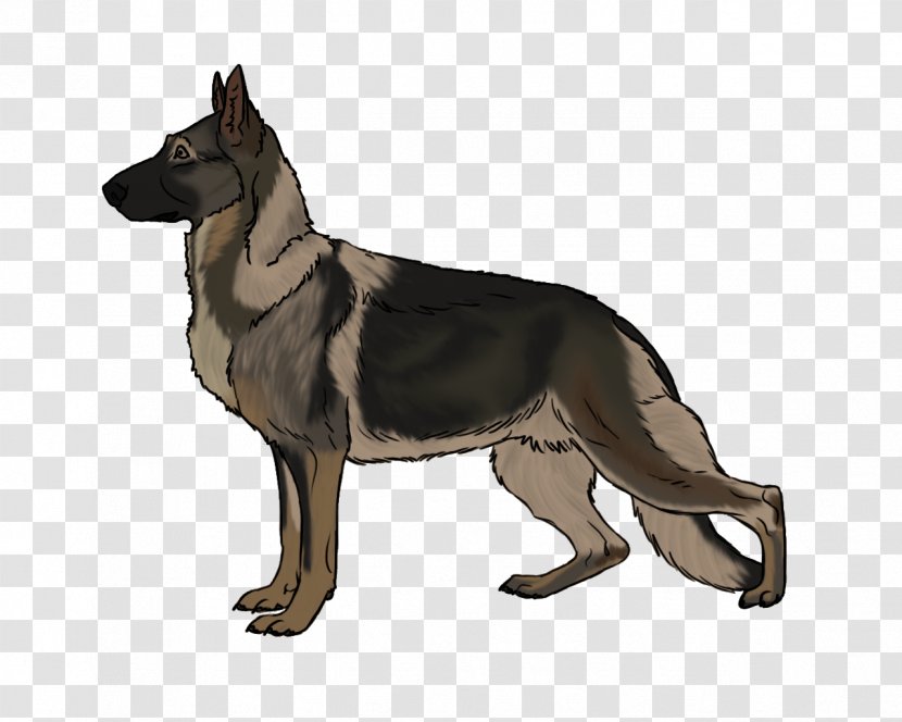 Kunming Wolfdog Saarloos Czechoslovakian German Shepherd Dog Breed - Jn Foundation Transparent PNG