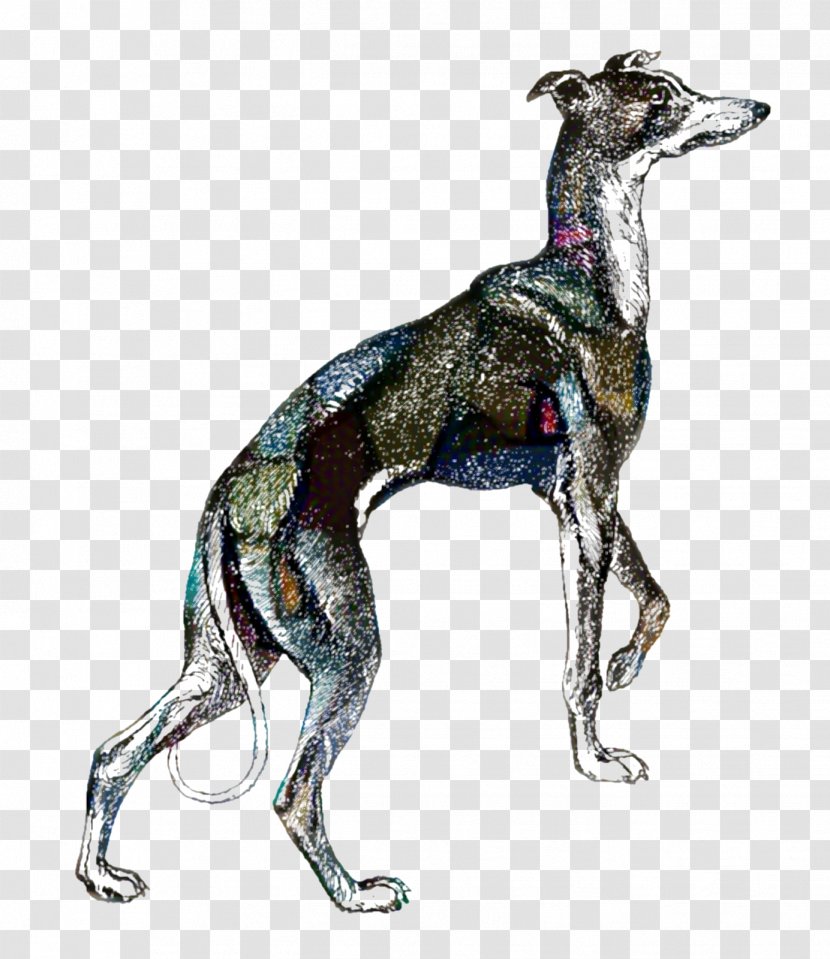 Cartoon Nature Background - Sloughi - Polish Greyhound Mudhol Hound Transparent PNG