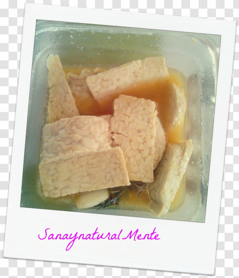 Food Commodity - Tempeh Transparent PNG