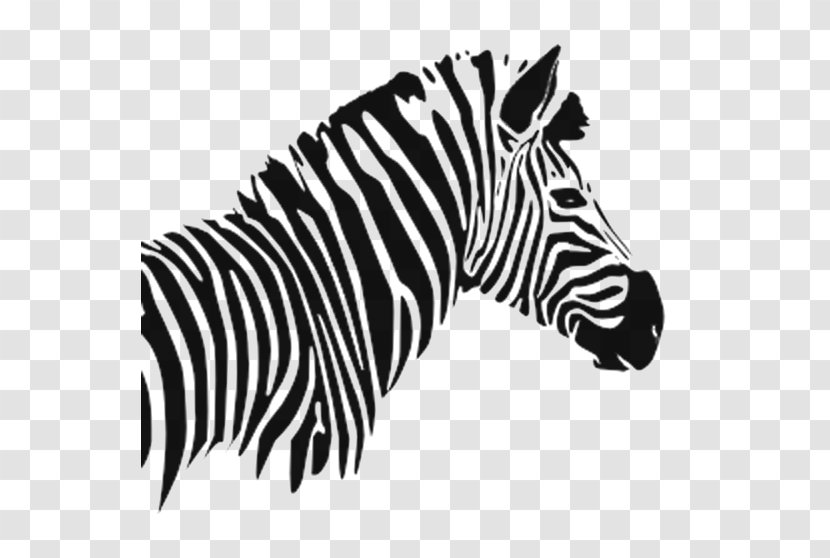 Quagga Zebra Image Zebre Rugby Club Graphics - Html - Bandeau Border Transparent PNG