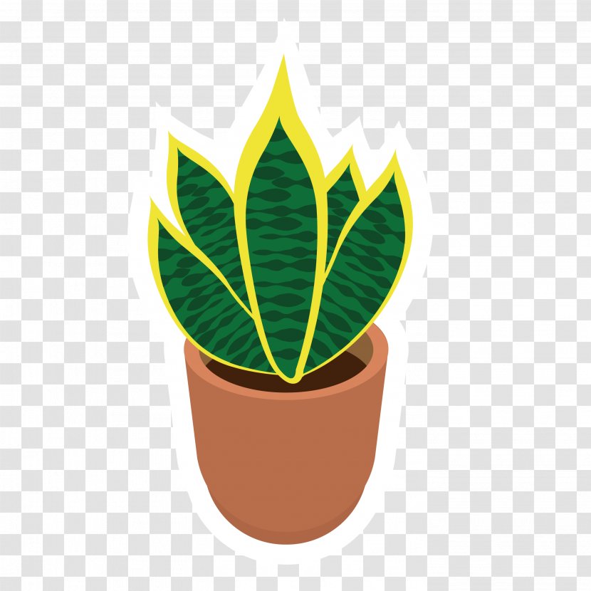 Succulent Plant Vector Graphics Cactus Plants Bonsai - Flowerpot - Botanical Transparent PNG