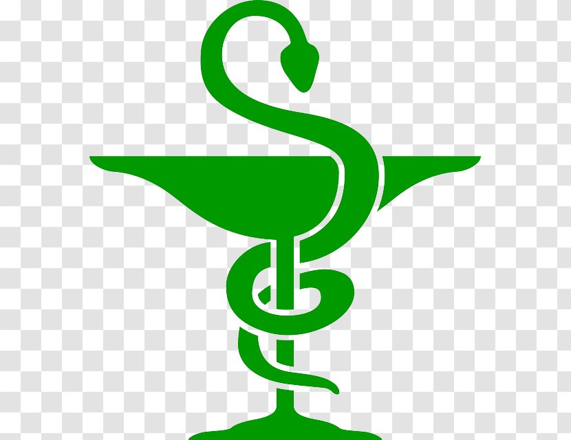 Pharmacy Symbol Pharmacist Clip Art - Leaf - Animal World Picture Green Snake Transparent PNG