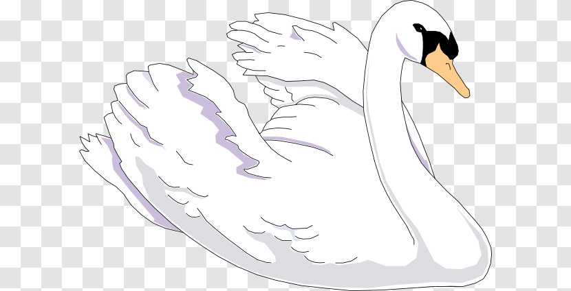 Trumpeter Swan Bird Free Content Clip Art - Swimming Cliparts Transparent PNG