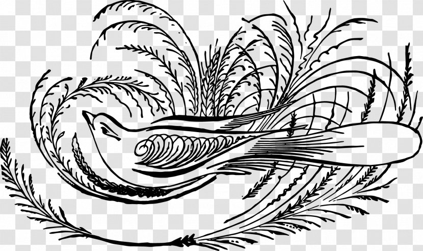 Art Drawing Calligraphy Illustration Design - Visual Arts - Whit Monday Bird Akhir Pekan Transparent PNG