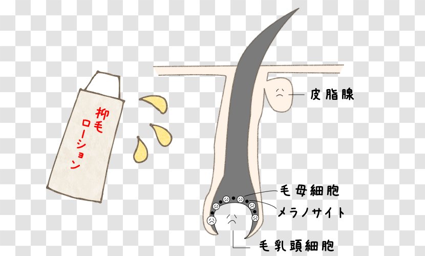 Lotion Soy Milk Clothing Accessories Hair - Hand - Anatomy Transparent PNG