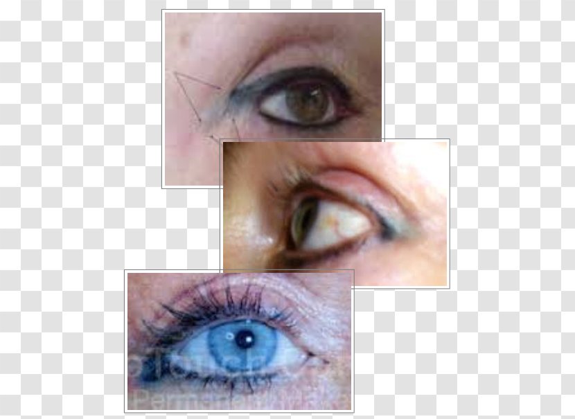 Eyelash Extensions Eye Liner Shadow Permanent Makeup Tattoo - Flower Transparent PNG