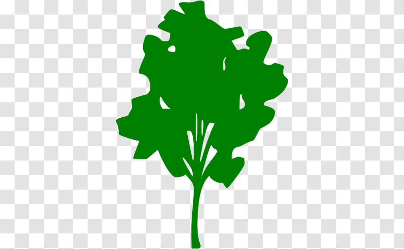 Rotorua Tree Media Clip Art - Leaf - Green Transparent PNG