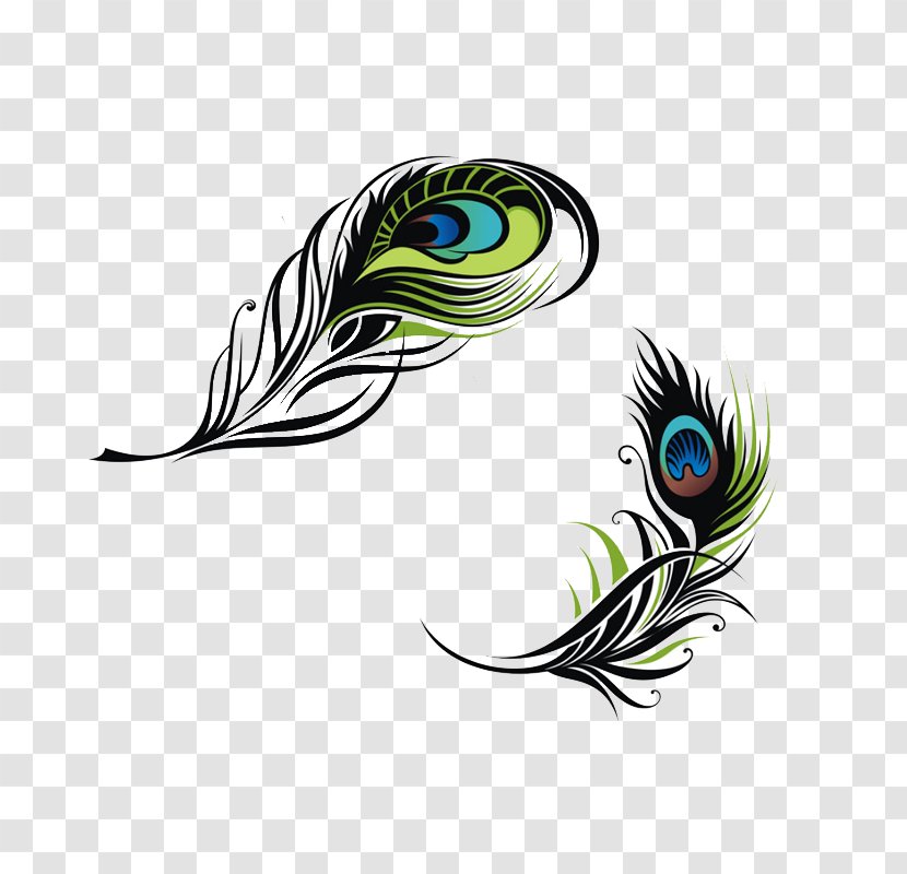 Bird Feather Peafowl Euclidean Vector - Peacock Transparent PNG