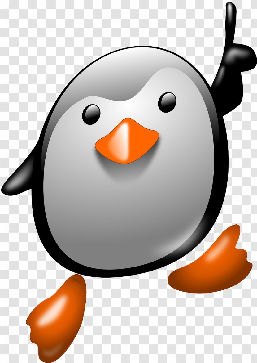 Clip Art - Bird - Penguin Transparent PNG