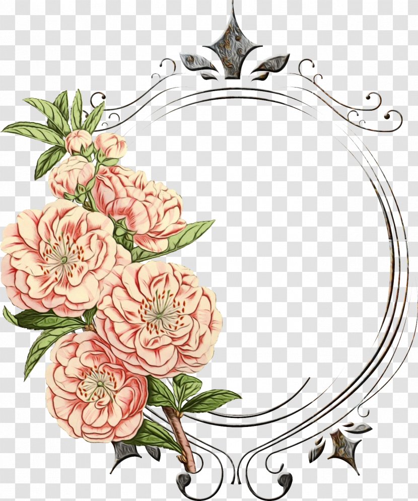Picture Frames Floral Design Flower Clip Art Rose - Family - Botany Transparent PNG