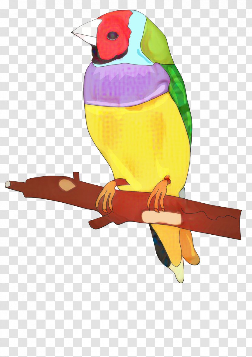Bird Parrot - Perching - Budgie Transparent PNG