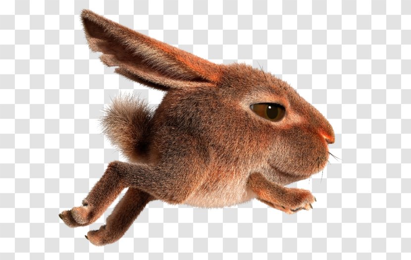Domestic Rabbit Hare Easter Bunny - Wildlife Transparent PNG