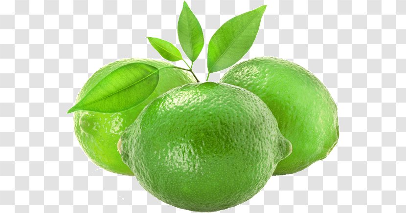 Persian Lime Lemon Juice Fruit - Citrus Transparent PNG