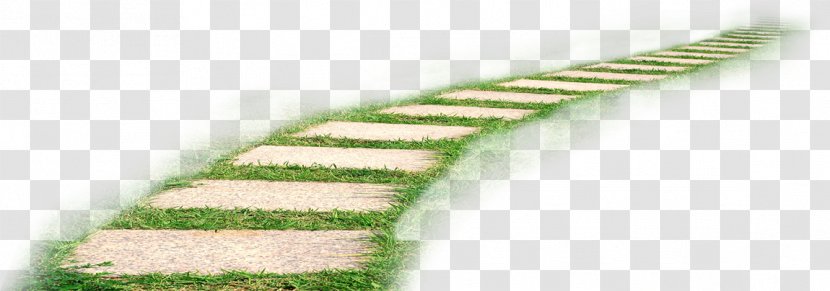 Euclidean Vector - Element - Fresh Grass Road Transparent PNG