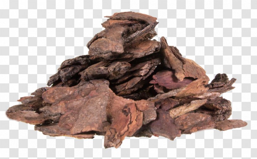 Woodchips Compost Bark Tree - Wood Transparent PNG