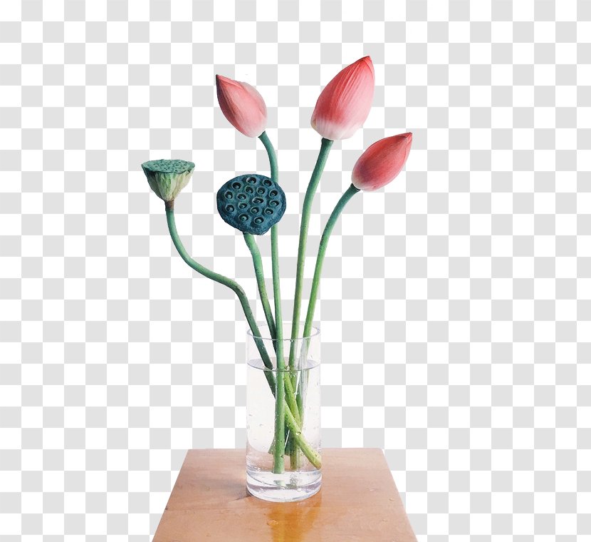 Table Vase - Living Room - Lotus Transparent PNG