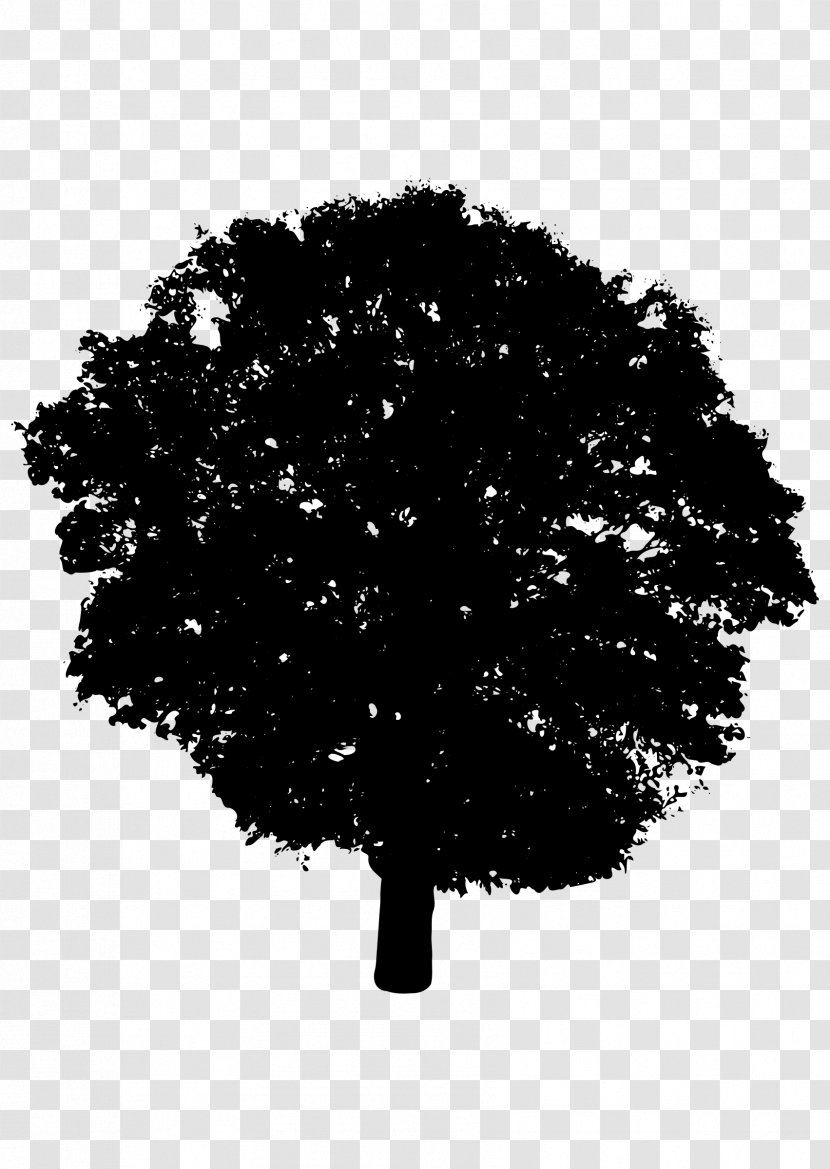 Silhouette Tree Shrub Clip Art - Royaltyfree - Vector Transparent PNG