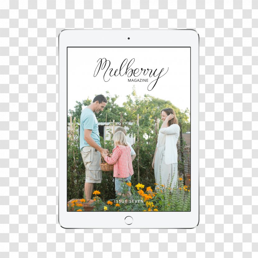 Magazine Content Picture Frames Stock - Education - Mulberry Transparent PNG