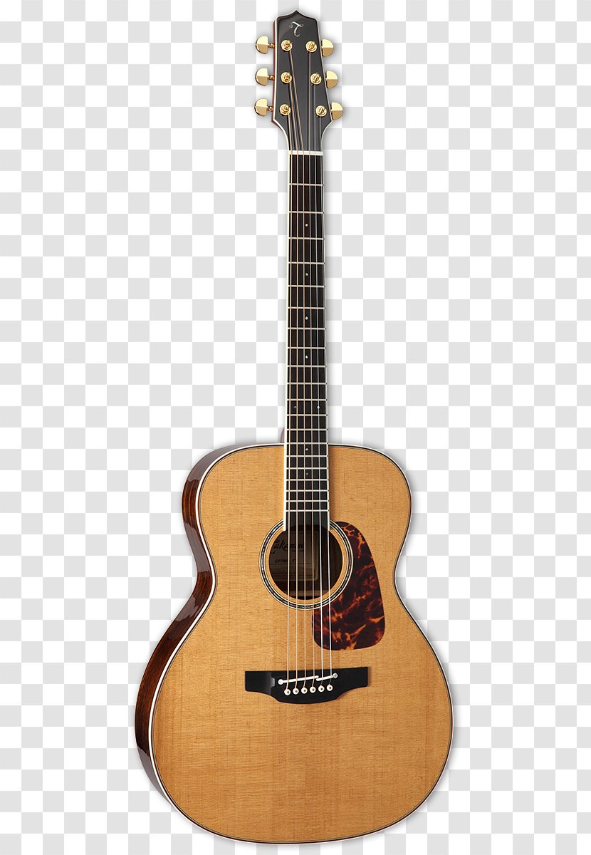 Acoustic-electric Guitar Takamine Guitars Acoustic Dreadnought - Tree Transparent PNG