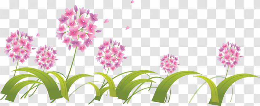 Vector Graphics Royalty-free Drawing Clip Art - Botany - Pink Flower Background Transparent PNG