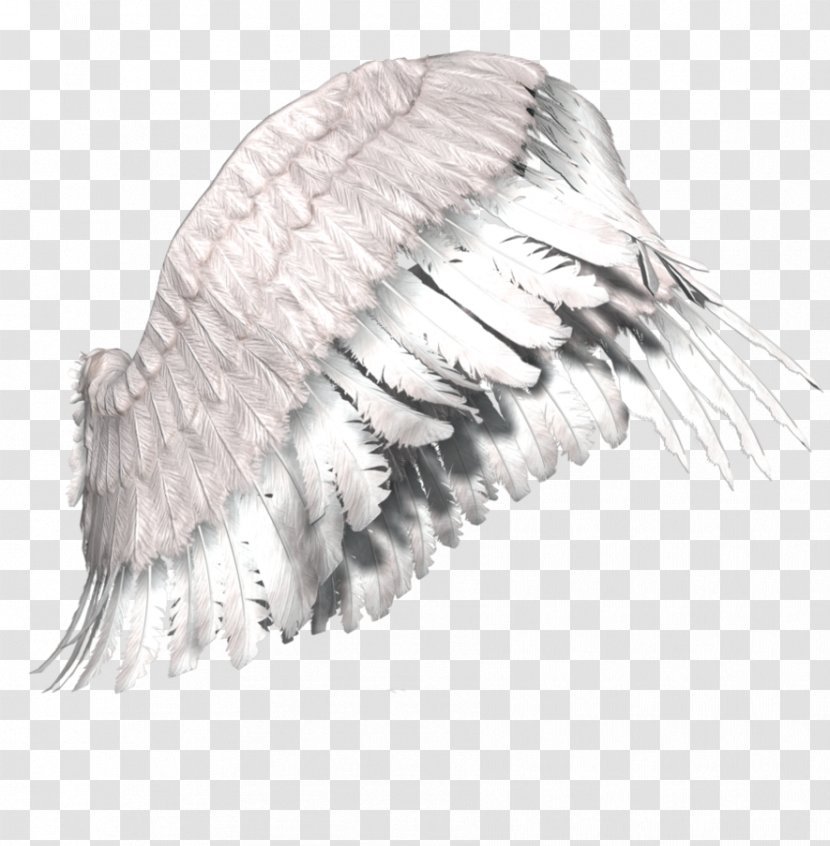Gabriel Gothic Fiction Angel Art Dream - Dark - Wings Transparent PNG
