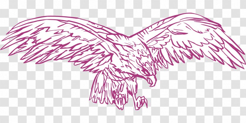 Drawing Bird Eagle Clip Art - Tree - Wings Transparent PNG