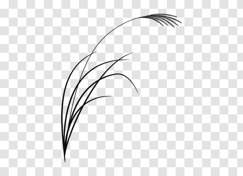 Font Feather Eyebrow Beak Line Art - Leaf Transparent PNG