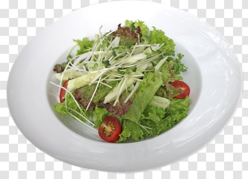 Caesar Salad Vegetarian Cuisine Recipe Leaf Vegetable Vegetarianism - Ninevolt Battery Transparent PNG