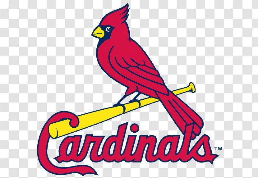 St. Louis Cardinals Clip Art Blues Vector Graphics Baseball - Logo Transparent PNG